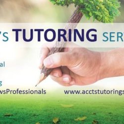 EXPERIENCED ACCOUNTING TUTOR: ACCOUNTING GPA OF 91% (Edmonton) picture