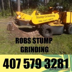 STUMP GRINDING 20% off (Seminole orange Volusia lake counties) picture