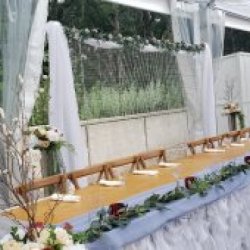 Do You Want A Stunning Wedding or Event?  $0.00 picture