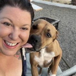 $35.00 / Night Dog Boarding - Experienced and trustworthy! picture