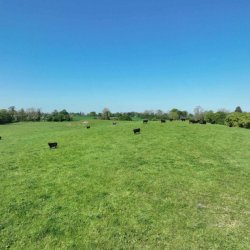 Kilskyre  Kells  Agricultural Land picture