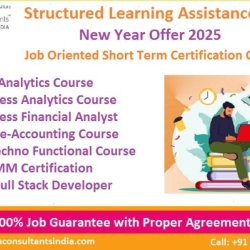 Best Accounting Course in Delhi 110046, SLA. GST and Accounting Institute, Taxation and ERP Tally Prime Institute in Delhi, Noida, "Free SAP FICO till 31 Jan 2025" [ Learn New Skills of Accounting, ITR, and SAP Finance for 100% Job] in Bajaj Alliance. picture