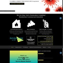 Web Development that Fits Your Budget | Web Design Services +1(917) 651-8495 picture