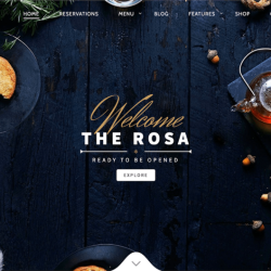 Responsive Website Development Services | Web Design Services +1(917) 651-8495