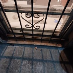 **** PROFESSIONAL PAINTING SERVICE - LONG ISLAND, NYC PAINTING - NY PAINTER ******* (Queens, Brooklyn, Manhattan) ** CALL or TXT +1(917) 651-8495 picture