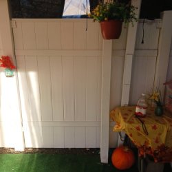 Painting and handyman services (Bellerose)  ** CALL or TXT +1(917) 651-8495 picture