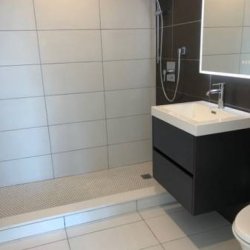 $815,000 / 1br - 949ft2 - Brand New Condo For Sale (Dyker Height) picture
