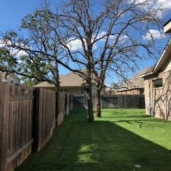🪓🌲Tree Service 🌲🪓Lawn Service 🍂🍃Clean Ups🍃🍂Landscaping (Austin and surrounding cities) picture
