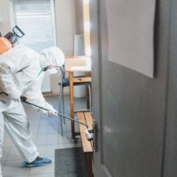 Expert Pest Control in Dallas TX | Over 10 years experience dealing with local pests picture