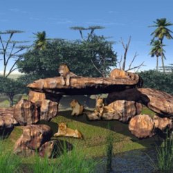 Zoo Animal Exhibit Design Consultant Services picture
