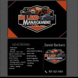 Tractor- landscaping -Bush hogging land clearing services (Memphis) picture