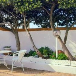 €1.000 / 2br - La Rosamare Castiglioncello mare, spiaggia,centro paese (Rosignano Marittimo) picture