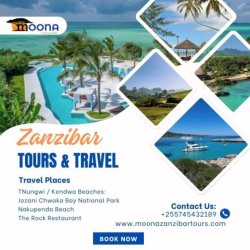Best Day Tours In Zanzibar picture