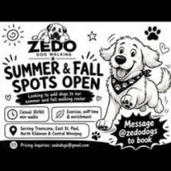 Zedo Dogs – Dog Walking in Winnipeg | Summer &amp; Fall Spots Open (Winnipeg) picture