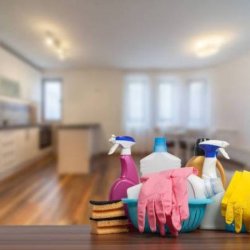 Spotless Residential &amp; Move-Out Cleaning | Apex Sparkle Co. Winnipeg picture